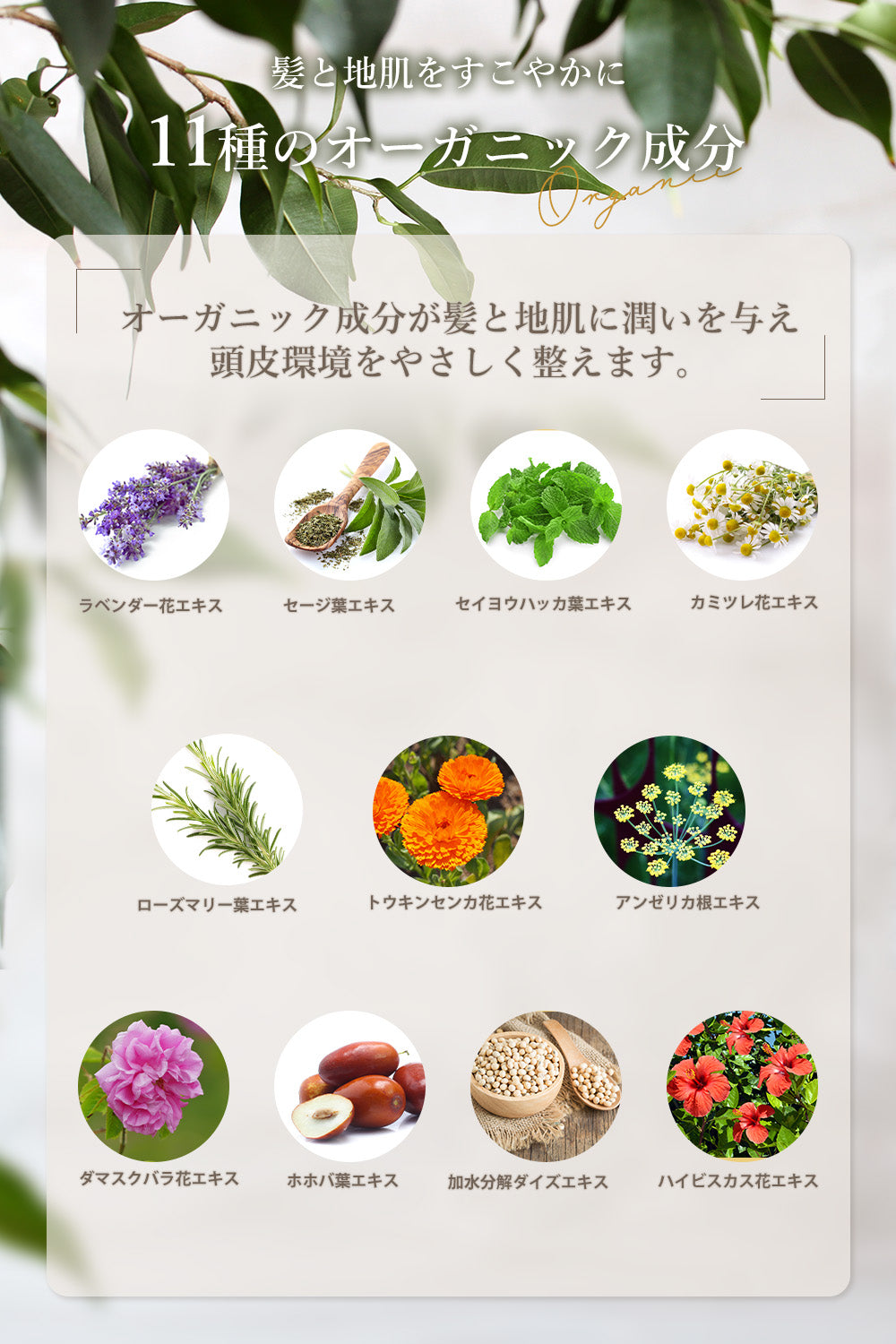 モイスチャー シャンプー&トリートメント セット – milue organic official